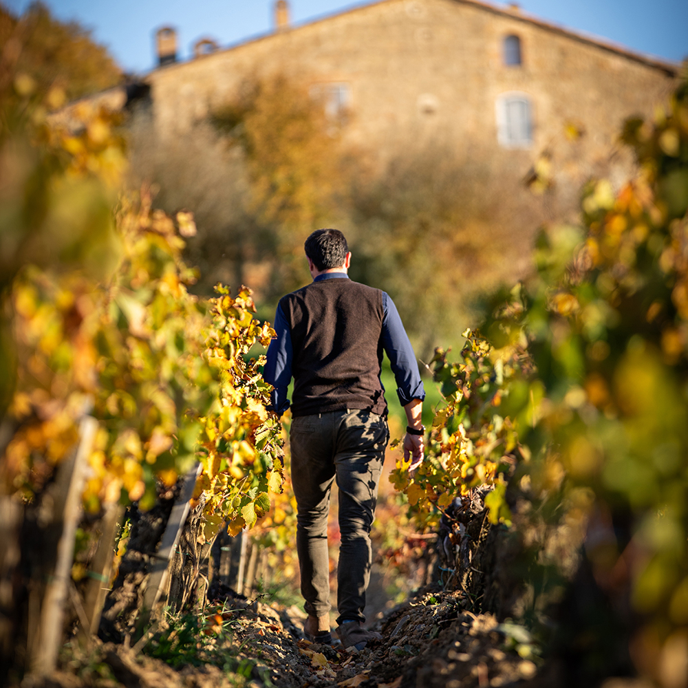 Property 1=di_spalle 1